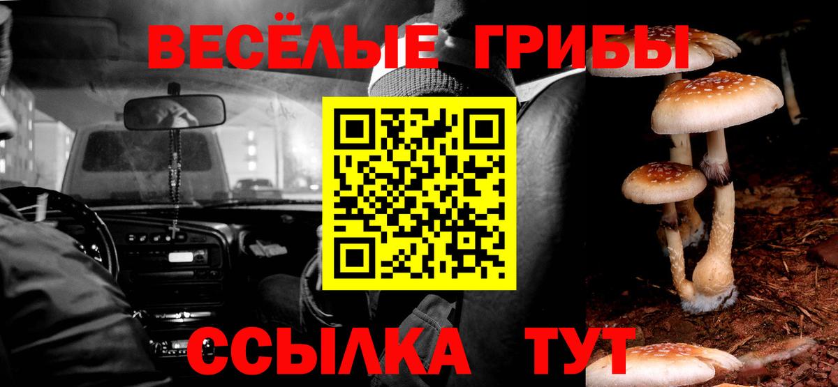 Галлюциногенные грибы мицелий  Псилоцибиновые грибы прущие грибы  Узловая  купить   Вход с VPN 