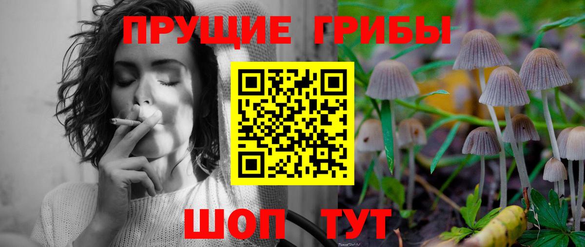 Галлюциногенные грибы мухоморы Узловая
